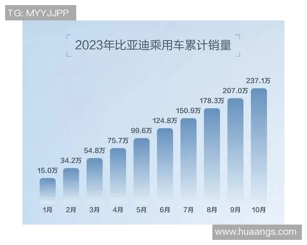 聚焦卓越成就与个人突破探索全新发展路径