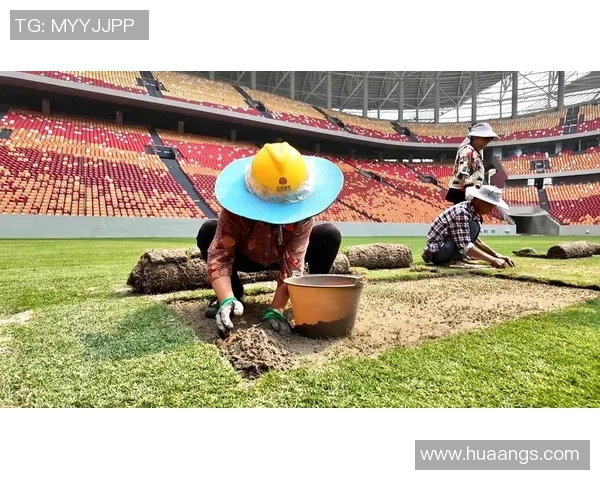 重庆足球队灵活性引发热议球迷与专家观点大碰撞