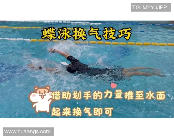 蝶泳动作解析与技巧提升 从起跳到转身的全程训练指南