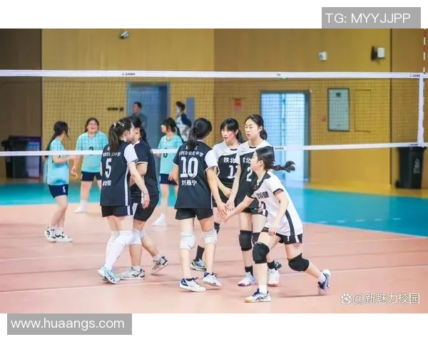南京排球队的速度之谜：揭秘排球巨献背后的训练与策略